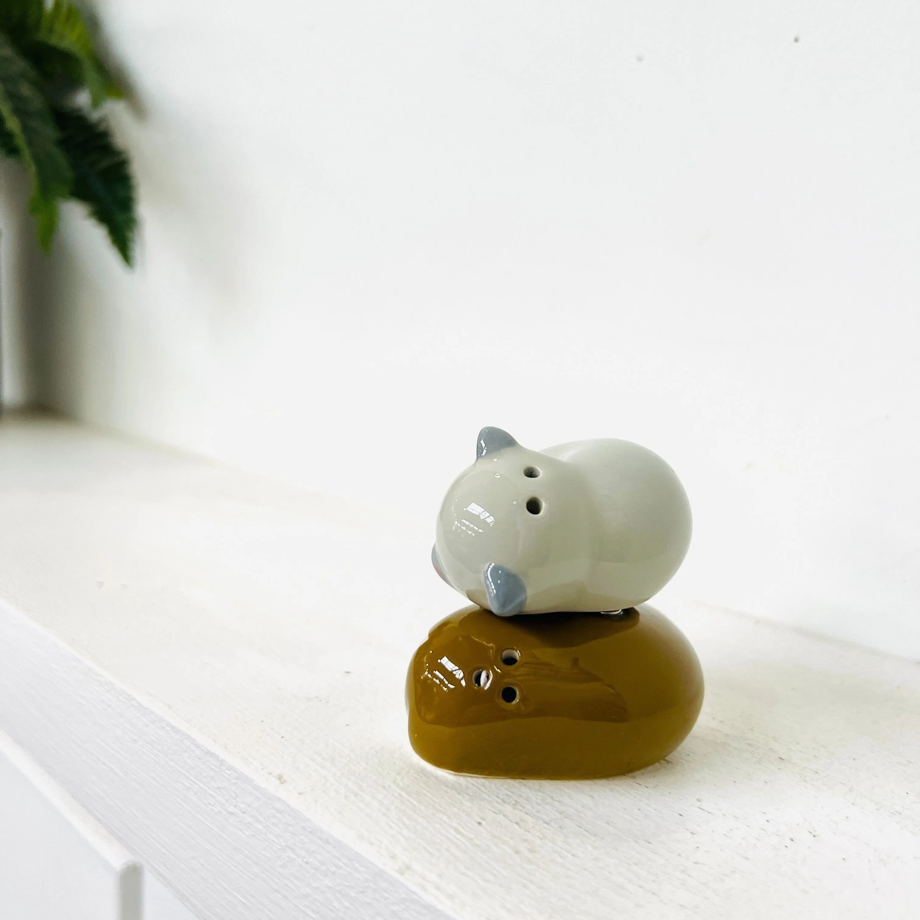 Best Friends Salt and Pepper Shakers