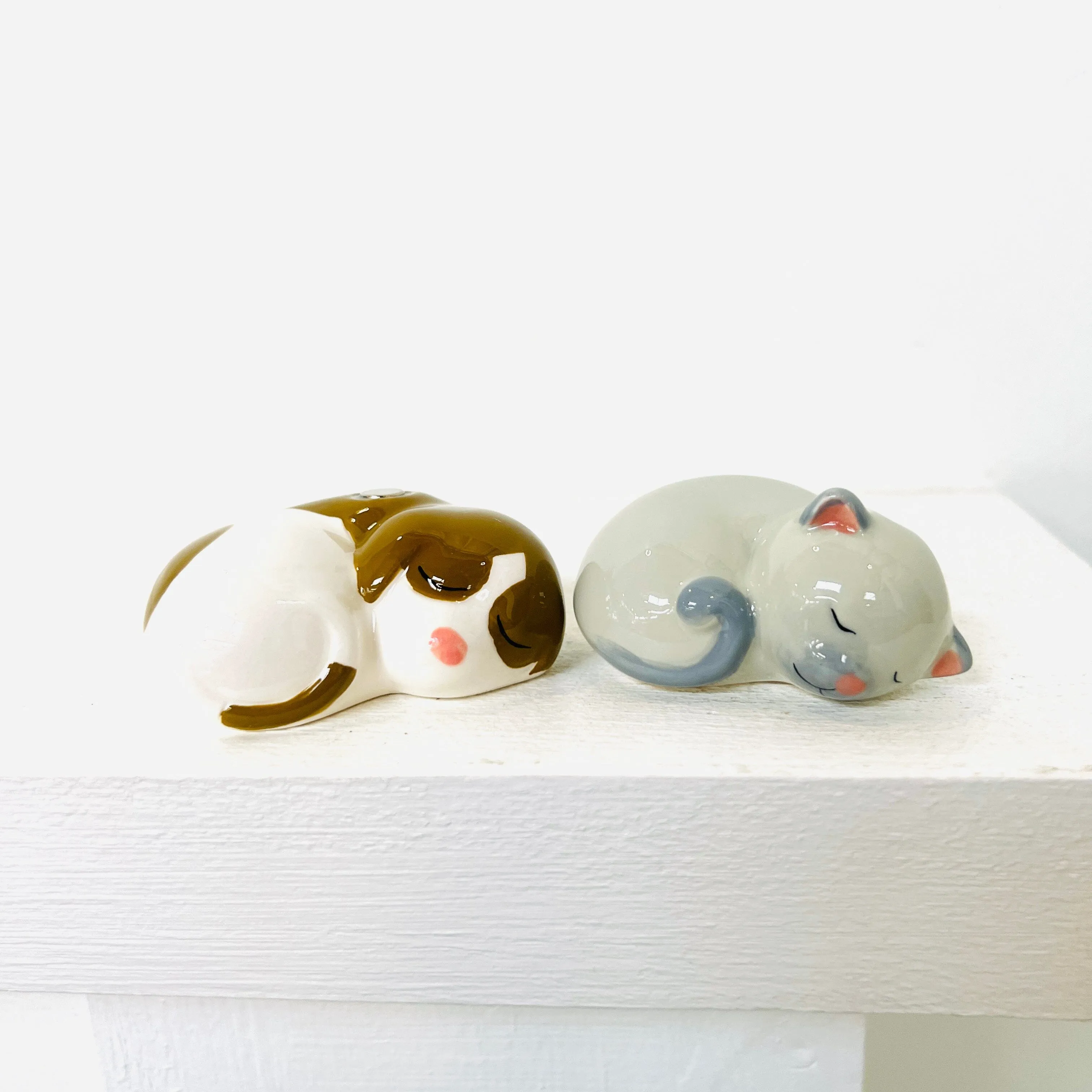 Best Friends Salt and Pepper Shakers