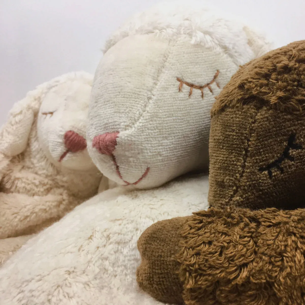 Cuddly Black Sheep Toy/Heat Pack in Organic Cotton/Lambswool - Small